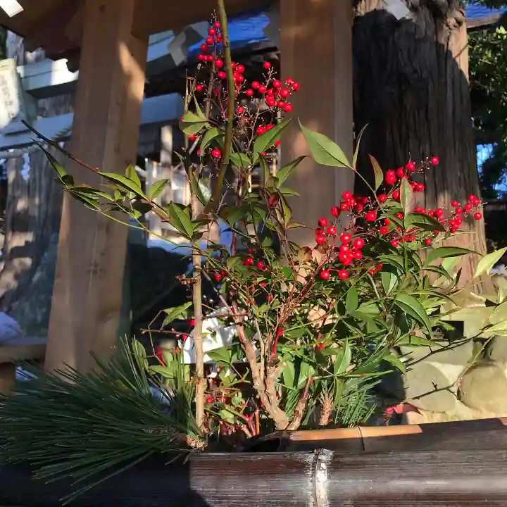 高司神社〜むすびの神の鎮まる社〜の自然