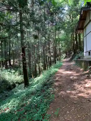 阿夫利神社の自然
