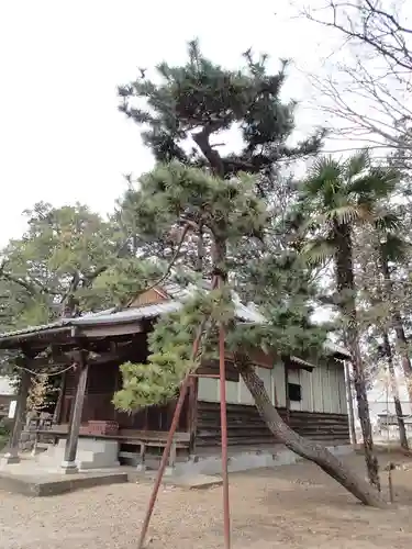 今城青坂稲実池上神社の庭園