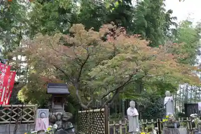 長泉院(埼玉県)