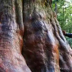 諫早神社（九州総守護  四面宮）(長崎県)