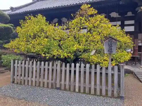 誉田八幡宮(大阪府)