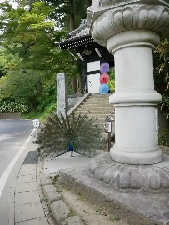 楽法寺(雨引観音)(茨城県)