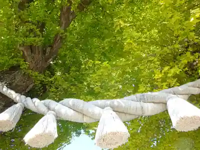 亀ケ池八幡宮のその他建物