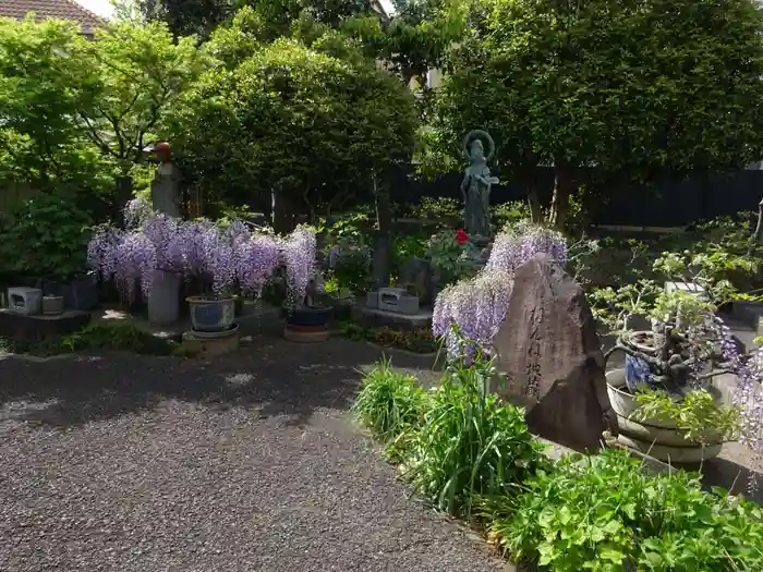 常泉寺の建物その他