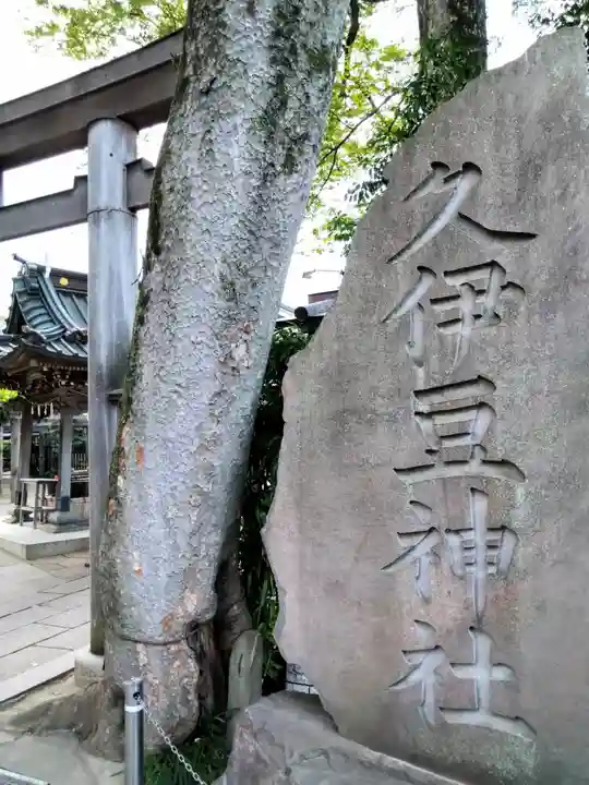 越ヶ谷久伊豆神社(埼玉県)
