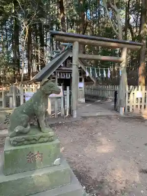 宝登山神社奥宮の狛犬
