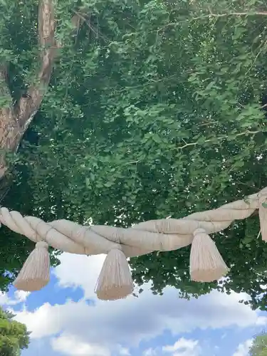 亀ケ池八幡宮のその他建物