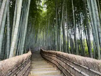 化野念仏寺(京都府)