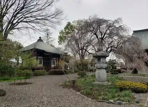 善導寺の建物その他