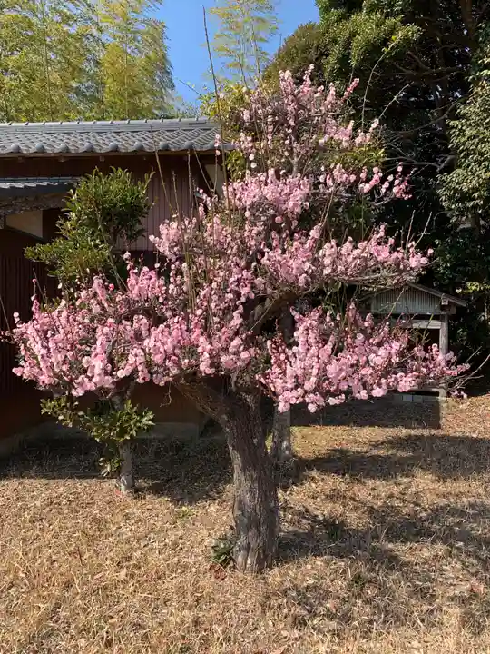 天満神社(千葉県)