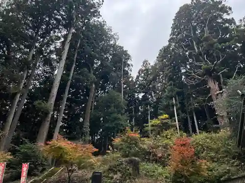 大宮温泉神社(栃木県)