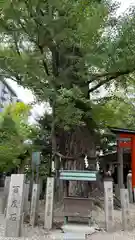 杭全神社(大阪府)