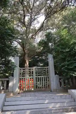 古宮 (神木『香推』)(福岡県)