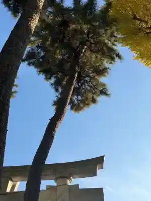 亀有香取神社(東京都)