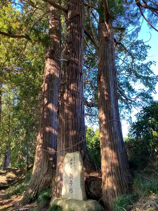 大井神社(太郎神社)の自然