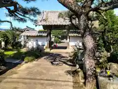 柳生寺の山門