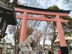 武蔵一宮氷川神社(埼玉県)