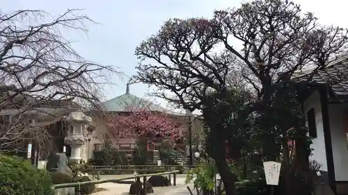 龍眼寺（萩寺）の周辺