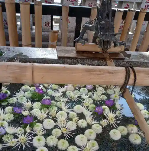 新井薬師（梅照院）(東京都)