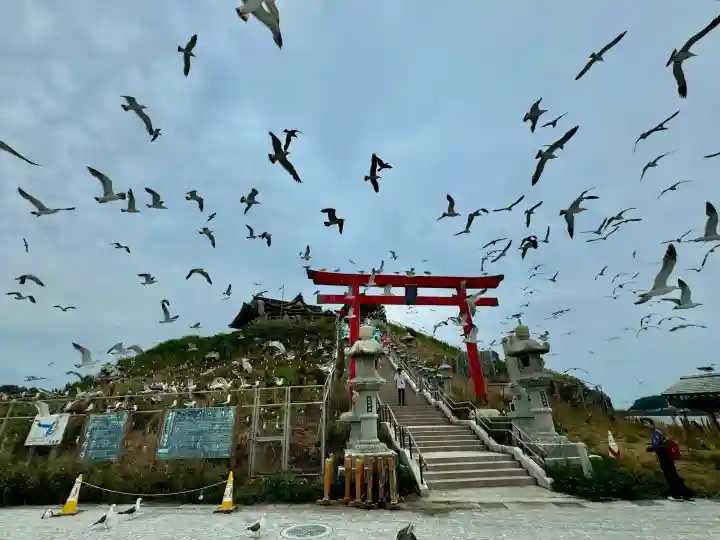 蕪嶋神社の{uncategorized: "未分類", other: "その他", undefined: "問題あり", building: "その他建物", grave: "お墓", sacred_gate: "鳥居", guardian: "狛犬", statue: "像", buddha: "仏像", history: "歴史", nature: "自然", garden: "庭園", animal: "動物", pagoda: "塔", temizu: "手水舎", mountain_gate: "山門・神門", sanctuary: "本殿・本堂", subordinate: "末社・摂社", art: "芸術", scenery: "景色", jizo: "地蔵", ema: "絵馬", goshuin: "御朱印", omikuji: "おみくじ", items: "授与品その他", amulet: "お守り", goshuincho: "御朱印帳", eats: "食事", festival: "お祭り", votive_dance: "神楽", shichigosan: "七五三参", wedding: "結婚式", experience: "体験その他", initially: "初詣", around: "周辺", anti_infection: "感染症対策"}