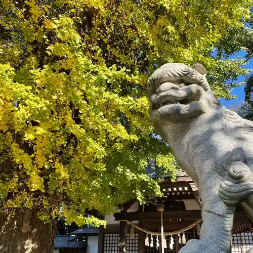 印内八坂神社の狛犬