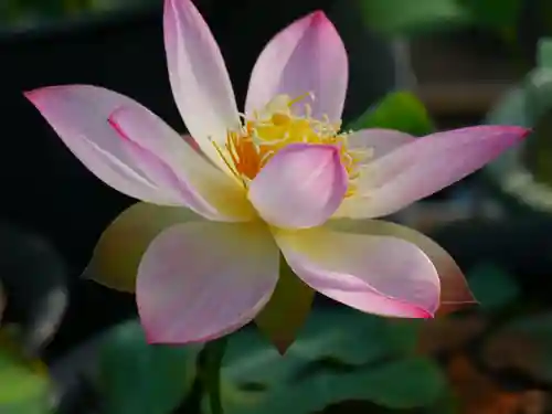 極楽山　浄土寺(北海道)