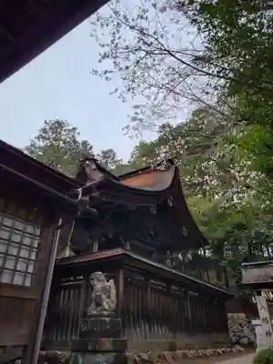手力雄神社(岐阜県)
