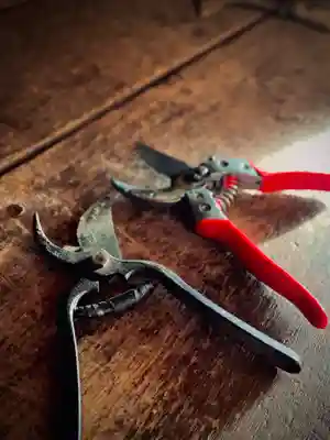 浄居寺(山梨県)