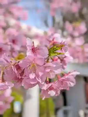 鳩森八幡神社(東京都)