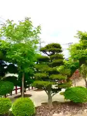 埴生神社(千葉県)