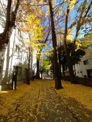 荻窪白山神社(東京都)