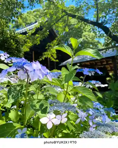 上戸田氷川神社(埼玉県)