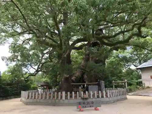 宇美八幡宮の自然