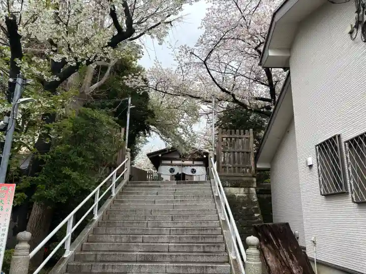 中村八幡宮の{uncategorized: "未分類", other: "その他", undefined: "問題あり", building: "その他建物", grave: "お墓", sacred_gate: "鳥居", guardian: "狛犬", statue: "像", buddha: "仏像", history: "歴史", nature: "自然", garden: "庭園", animal: "動物", pagoda: "塔", temizu: "手水舎", mountain_gate: "山門・神門", sanctuary: "本殿・本堂", subordinate: "末社・摂社", art: "芸術", scenery: "景色", jizo: "地蔵", ema: "絵馬", goshuin: "御朱印", omikuji: "おみくじ", items: "授与品その他", amulet: "お守り", goshuincho: "御朱印帳", eats: "食事", festival: "お祭り", votive_dance: "神楽", shichigosan: "七五三参", wedding: "結婚式", experience: "体験その他", initially: "初詣", around: "周辺", anti_infection: "感染症対策"}