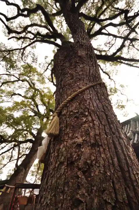 御袖天満宮(広島県)