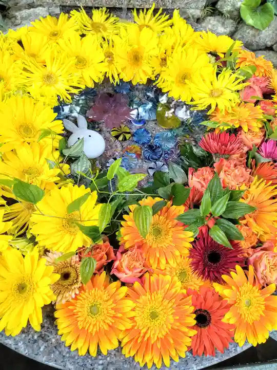 黄龍神社(新潟県)