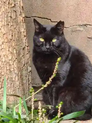 綱敷天満宮(福岡県)