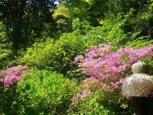 安國論寺（安国論寺）の庭園