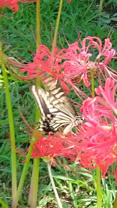 横浜 西方寺(神奈川県)