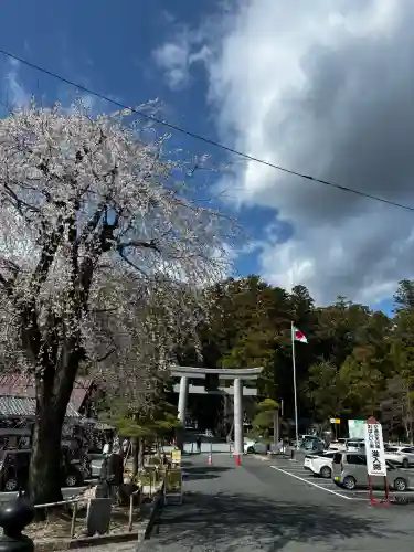 小國神社の{uncategorized: "未分類", other: "その他", undefined: "問題あり", building: "その他建物", grave: "お墓", sacred_gate: "鳥居", guardian: "狛犬", statue: "像", buddha: "仏像", history: "歴史", nature: "自然", garden: "庭園", animal: "動物", pagoda: "塔", temizu: "手水舎", mountain_gate: "山門・神門", sanctuary: "本殿・本堂", subordinate: "末社・摂社", art: "芸術", scenery: "景色", jizo: "地蔵", ema: "絵馬", goshuin: "御朱印", omikuji: "おみくじ", items: "授与品その他", amulet: "お守り", goshuincho: "御朱印帳", eats: "食事", festival: "お祭り", votive_dance: "神楽", shichigosan: "七五三参", wedding: "結婚式", experience: "体験その他", initially: "初詣", around: "周辺", anti_infection: "感染症対策"}