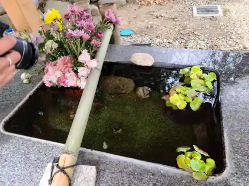 高司神社〜むすびの神の鎮まる社〜の手水