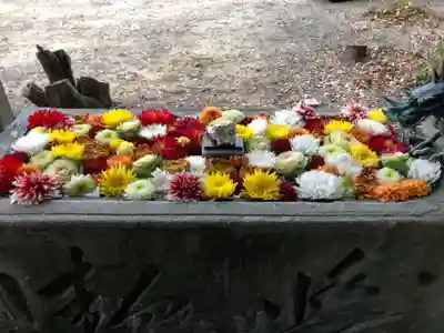 宇佐八幡神社の手水舎