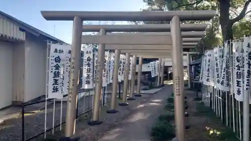 白金龍王社(愛知県)