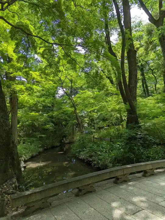 河合神社(鴨川合坐小社宅神社)(京都府)