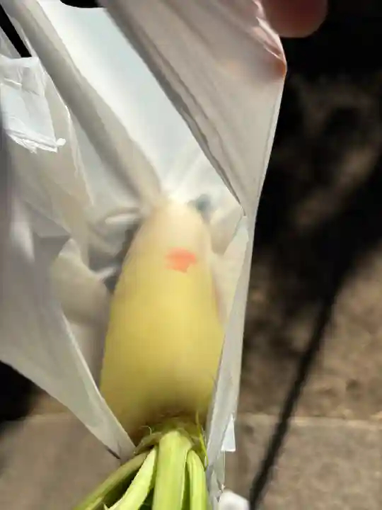 待乳山聖天(本龍院)(東京都)