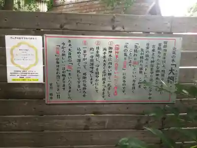 鎮守氷川神社のその他建物