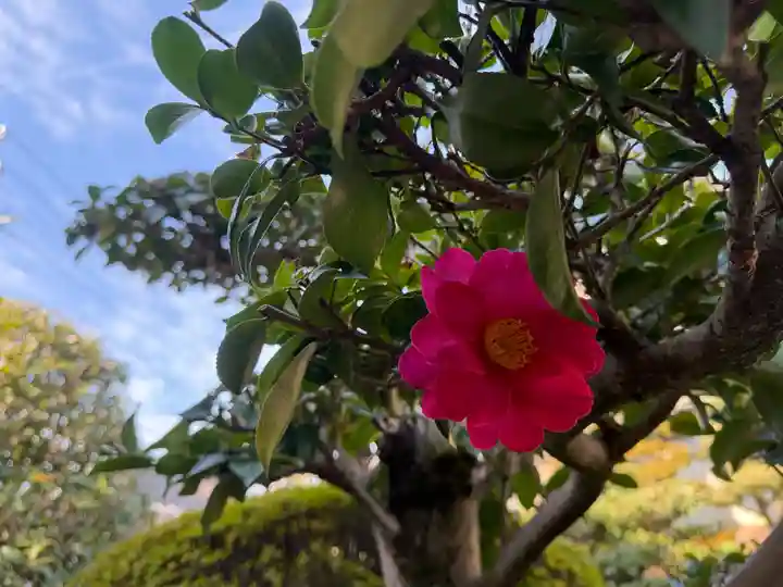 西方山極楽寺(岐阜県)