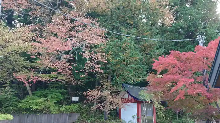 甲子神社の自然