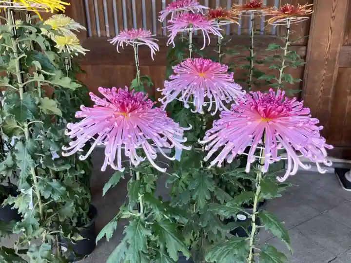 寒川神社(神奈川県)